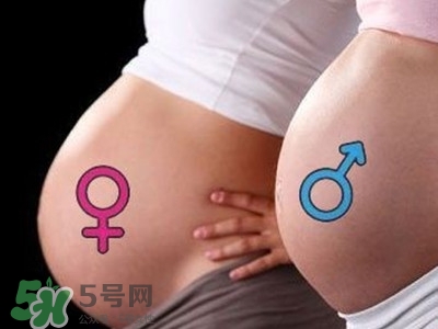B超單數(shù)據(jù)怎么看男女？B超單看男女準(zhǔn)嗎？