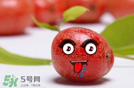羊奶子有什么藥用價(jià)值？羊奶子有什么功效