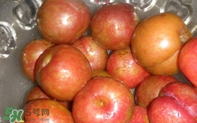 三華李可以泡酒嗎？三華李可以多吃嗎？