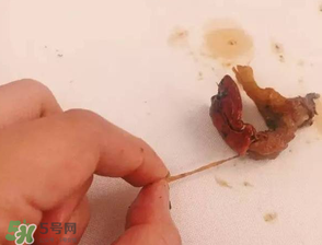 周黑鴨小龍蝦好吃嗎？周黑鴨小龍蝦試吃評測