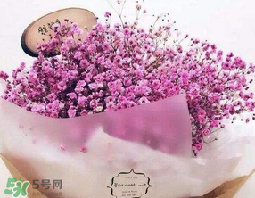 母親節(jié)可以送滿天星嗎？母親節(jié)能送滿天星嗎？