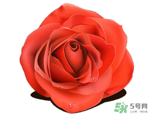母親節(jié)送什么顏色的玫瑰花？母親節(jié)送幾朵玫瑰花？