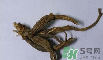 土瓜根是什么？土瓜根粉哪里有賣的？