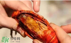 周黑鴨小龍蝦怎么吃？周黑鴨小龍蝦怎么吃圖解？
