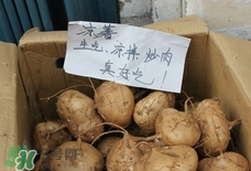 涼薯怎么做好吃？涼薯怎么炒好吃