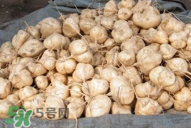 土瓜怎么做好吃？土瓜的做法大全