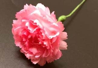 母親節(jié)可以送紙做的康乃馨嗎？康乃馨怎么折？