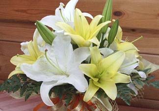百合花多少錢一支2017？百合花多少錢一束2017？