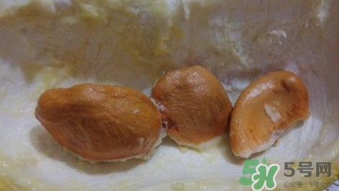 榴蓮核能種嗎？榴蓮核怎么種盆栽？