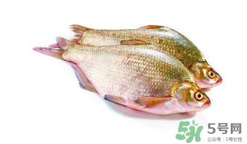 鳊魚怎么做好吃？鳊魚怎么燒好吃