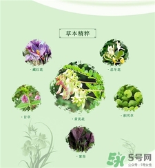 蘭心惠質面膜好用嗎?蘭心惠質面膜怎么樣?