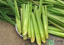 茭白能放冰箱嗎？茭白可以放冰箱多久