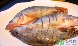 鱖魚(yú)是海魚(yú)嗎？鱖魚(yú)是淡水魚(yú)還是海魚(yú)
