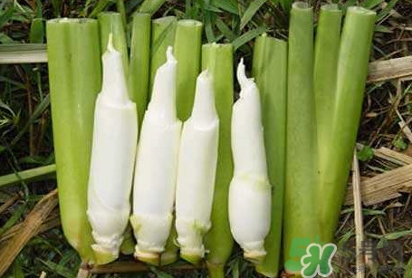 茭白怎么處理？茭白要去皮嗎