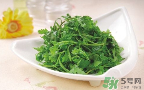 菊花腦孕婦能吃嗎？孕婦可以吃菊花腦嗎