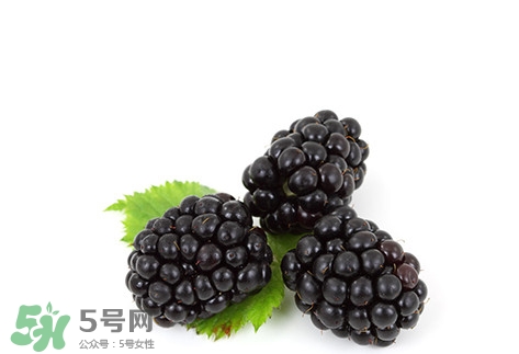 覆盆子的熱量高嗎？覆盆子可以減肥嗎？
