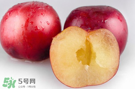 李子可以和西紅柿一起吃嗎？西紅柿和李子能同吃？