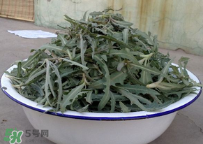苦苦菜怎么腌制？怎樣腌制苦苦菜？