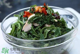 苦菜怎么保存？苦菜怎么保存時間長？