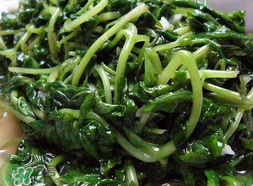 苦菜可以曬干嗎？苦菜怎么曬干？