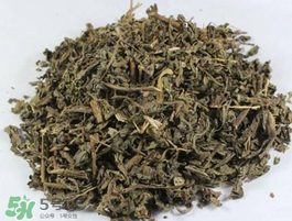 苦菜可以曬干嗎？苦菜怎么曬干？