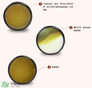 地球媽媽護(hù)臀膏能擦臉嗎？地球媽媽護(hù)臀膏可以擦臉用嗎？