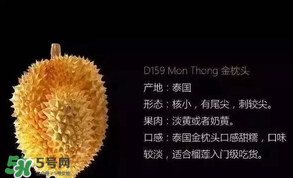 金枕頭和貓山王哪個(gè)好？金枕頭和貓山王的區(qū)別