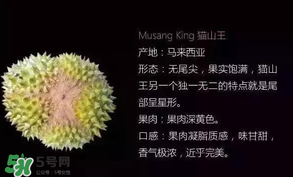 金枕頭和貓山王哪個(gè)好？金枕頭和貓山王的區(qū)別