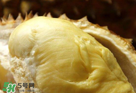 金枕頭榴蓮幾月份上市？金枕頭榴蓮什么時(shí)候上市？