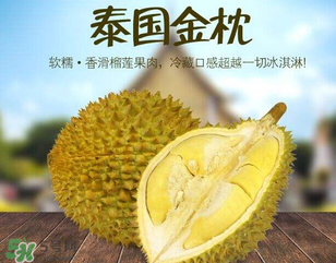 金枕頭榴蓮怎么才算熟？金枕頭榴蓮怎么催熟？