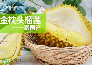 金枕頭榴蓮怎么才算熟？金枕頭榴蓮怎么催熟？