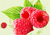 刺泡的熱量 刺泡可以減肥嗎？