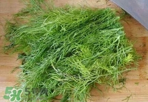 茴香菜是什么菜？茴香菜是香菜嗎
