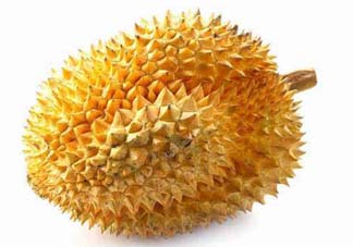 金枕頭和貓山王哪個(gè)好？金枕頭和貓山王的區(qū)別