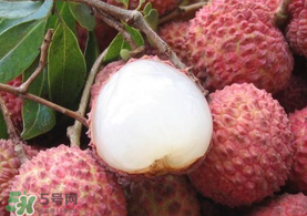 吃荔枝被酒駕怎么辦？吃荔枝酒駕是真的嗎？