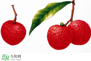 拉肚子能吃荔枝嗎 ？拉肚子可以吃荔枝嗎 ？
