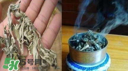 艾葉可以驅(qū)蚊子嗎？艾葉能驅(qū)蚊子嗎
