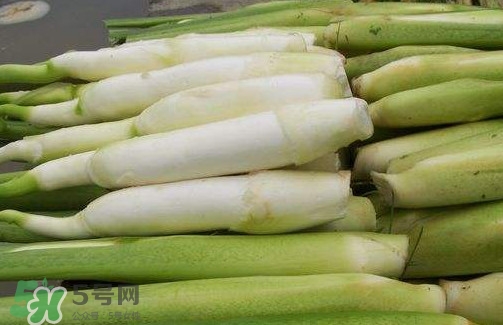 茭白多少錢(qián)一斤 茭白的營(yíng)養(yǎng)價(jià)值