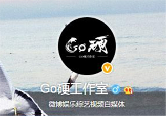 go硬工作室和卓偉有什么關(guān)系？go硬工作室是卓偉前員工成立的？