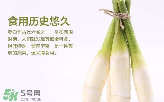 茭白是發(fā)物嗎？茭白是不是發(fā)物