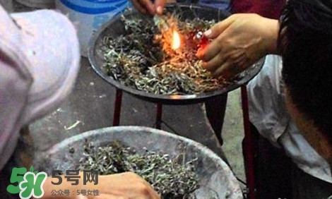 艾葉可以驅(qū)蚊子嗎？艾葉能驅(qū)蚊子嗎