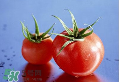 西紅柿能和黃瓜一起吃嗎？黃瓜可以和西紅柿一起吃嗎？