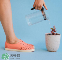 native鞋中文名稱是什么？native鞋中文怎么翻譯？