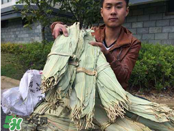 干粽葉怎么煮？干粽葉煮多久？