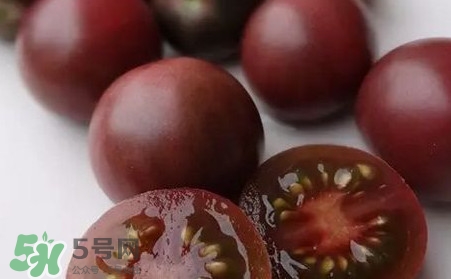 黑番茄是轉基因嗎？黑番茄是轉基因食品嗎