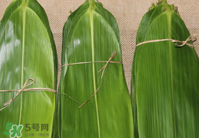 干粽葉要煮嗎？干粽葉到底是泡好還是煮好？