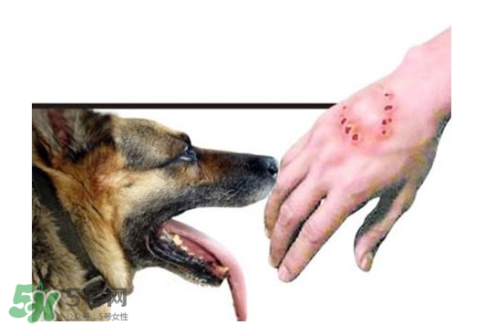 狂犬病能治好嗎？狂犬病的早期癥狀