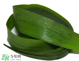 粽葉有幾種？粽葉哪種好？