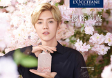鹿晗代言了歐舒丹嗎？歐舒丹的代言人是鹿晗嗎？