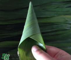 粽子葉能冷凍嗎？粽子葉放冰箱冷藏還是冷凍？